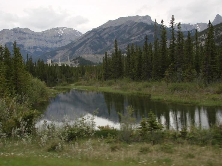 the mountain is surrounded by tall trees and grass