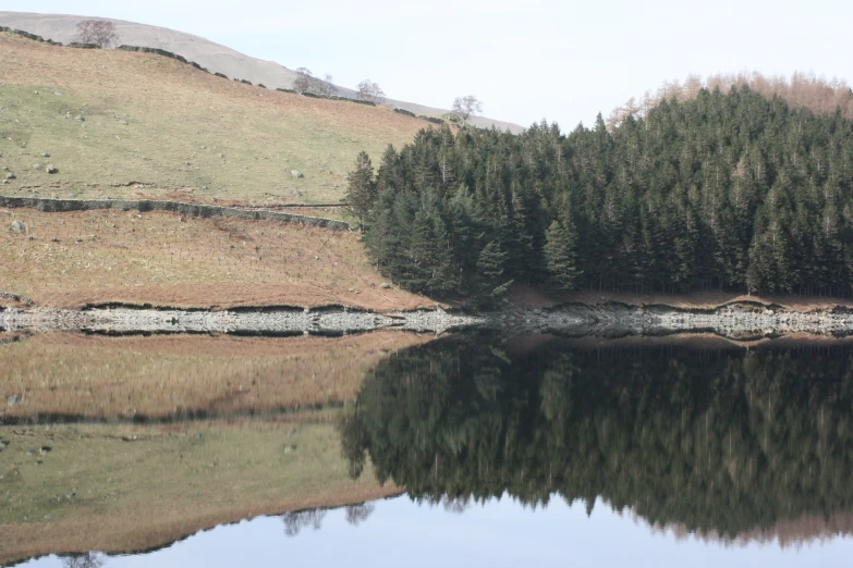 trees are on the shore as a reflection is in the water