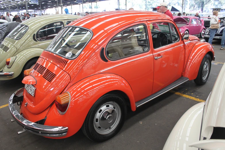 two colorful cars side by side on display