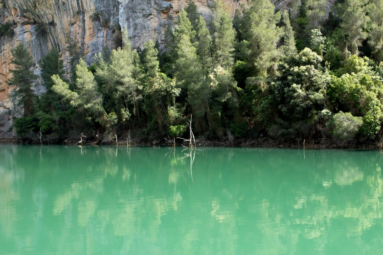 a lake is full of green trees and water