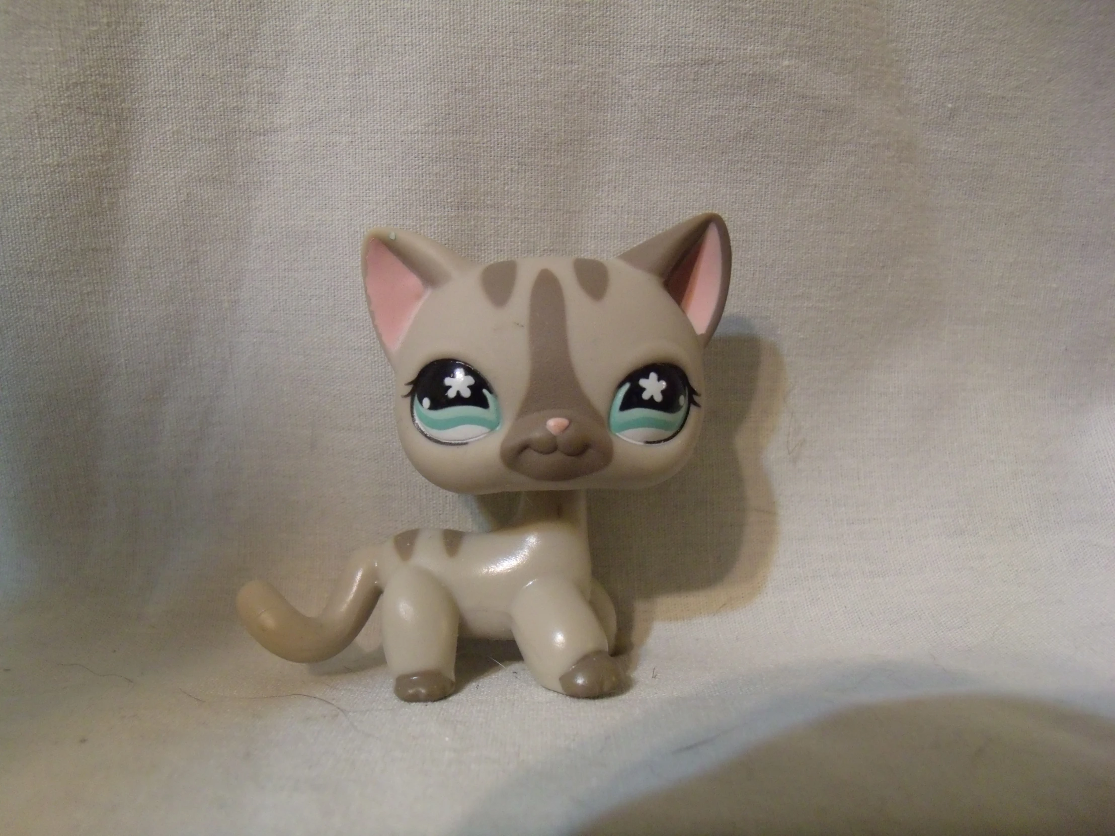 a little cat is standing in the shape of a toy