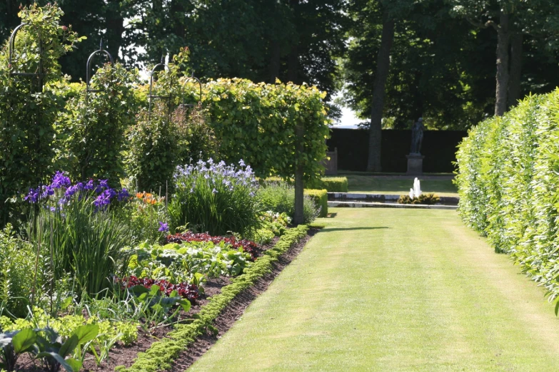 a garden with a row of bushes in the middle