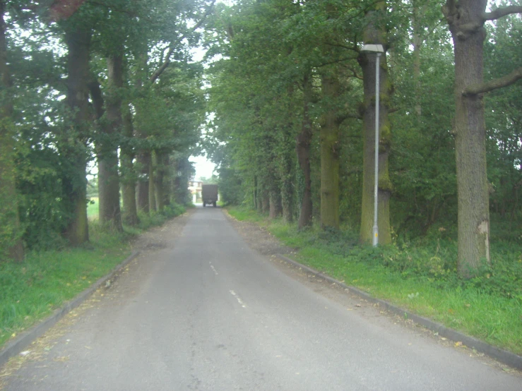 an empty road lined with trees that have no leaves