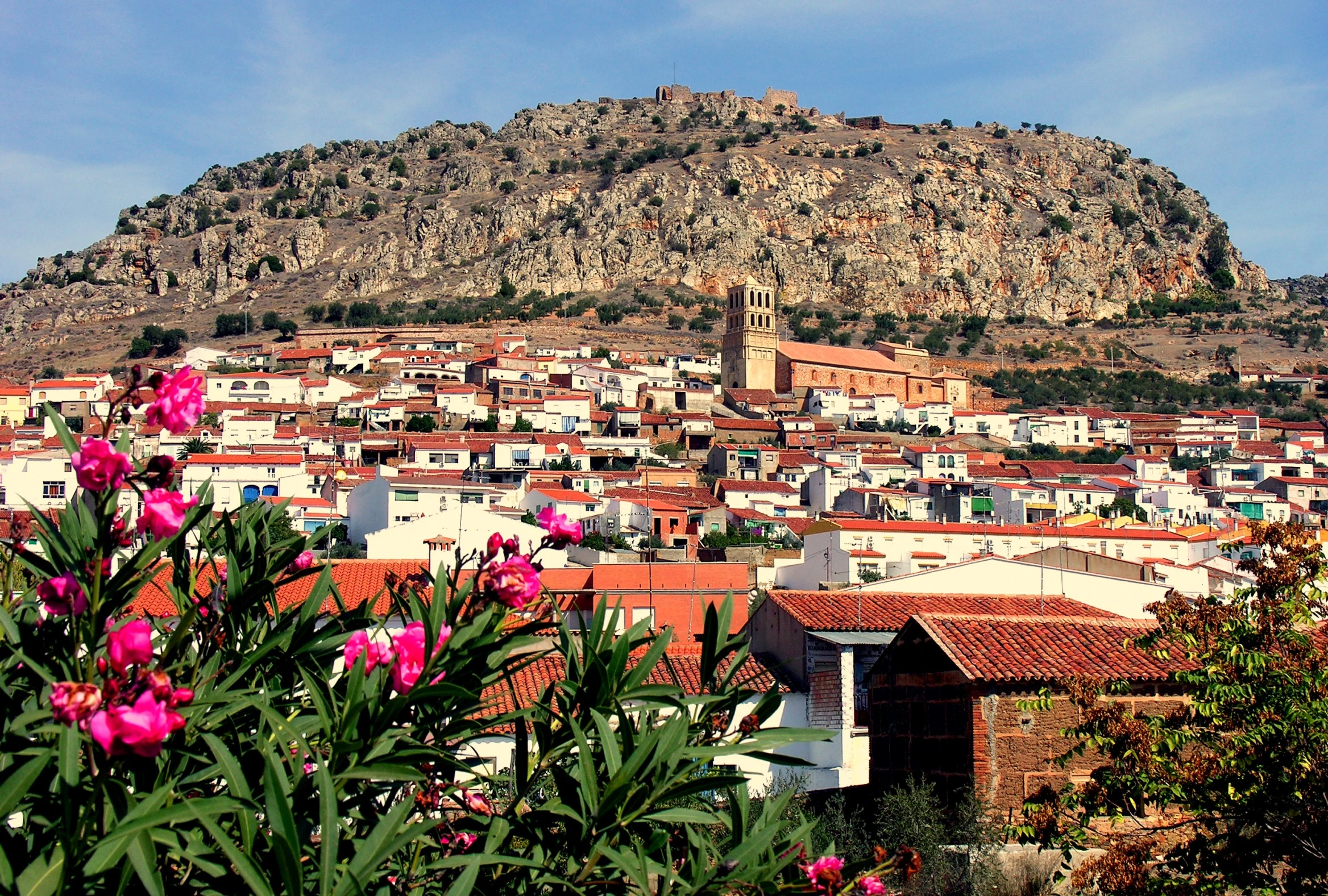 a hill with houses near the city in the daytime