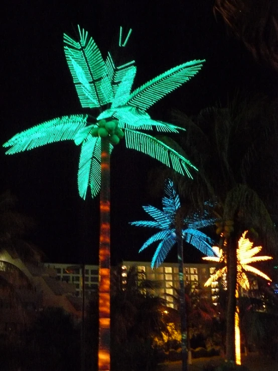 a palm tree has a lot of light painted on it