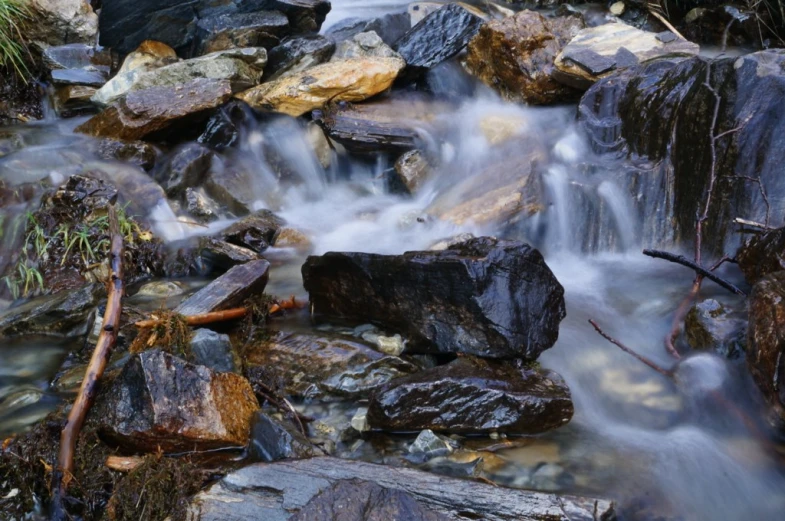 a river surrounded by rocks and a plant