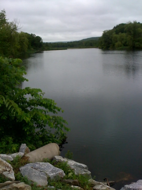 water with rocks and trees near the shore