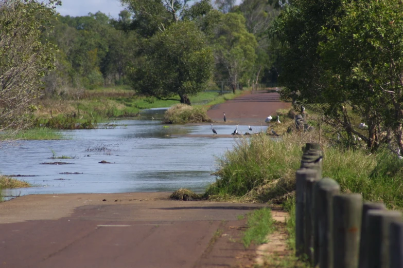 a small body of water near an asphalt road