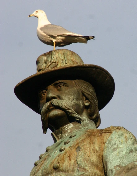 the bird is perched on top of the bust of a man