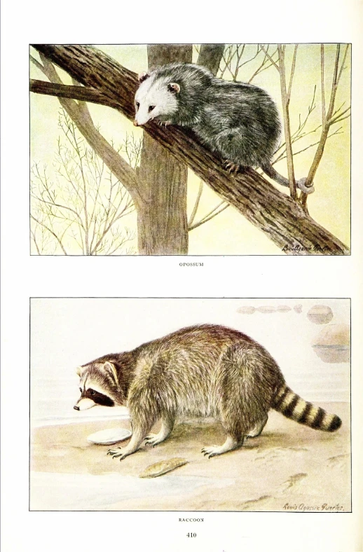 a page in a book with pictures of animals in trees