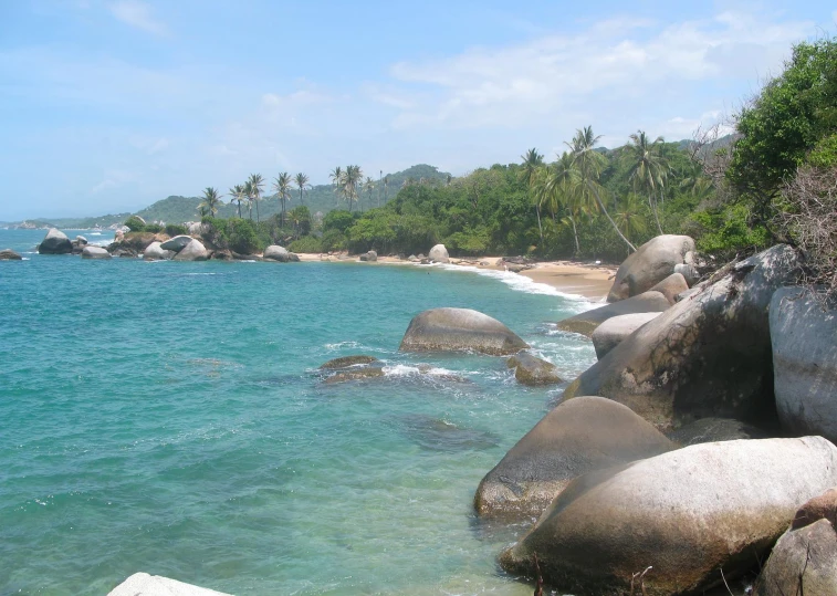 a beach with some green trees and rocks