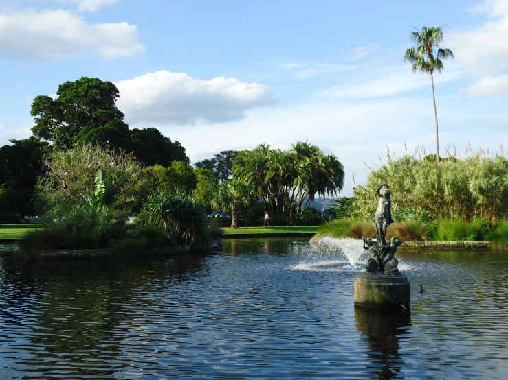 a lake and some trees in the background