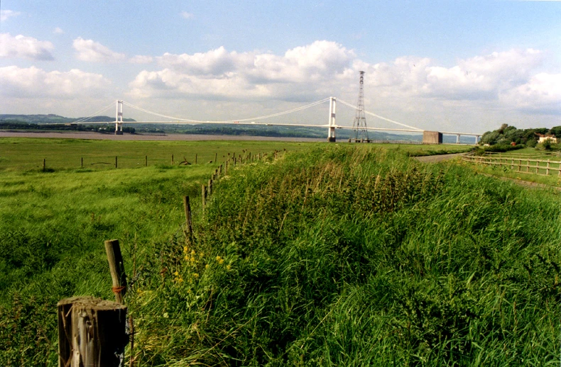 a grassy path next to a fence with power lines in the background