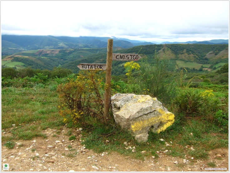 two signs on a wooden pole near a rock