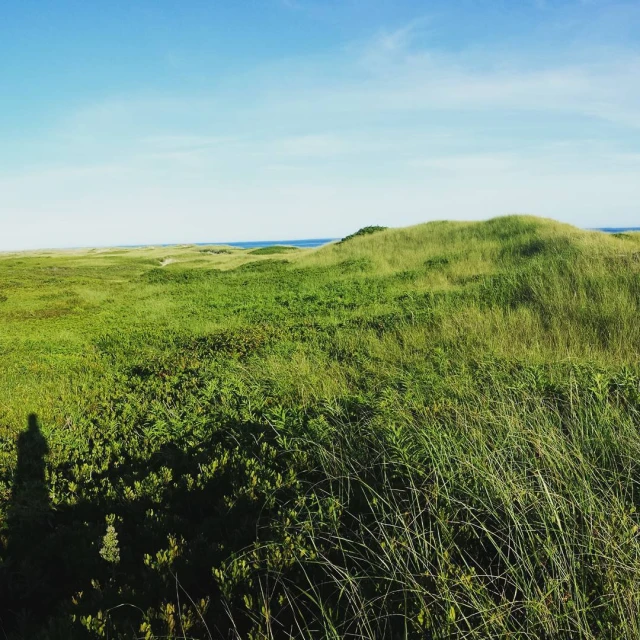 an empty grassy plain with blue skies in the background