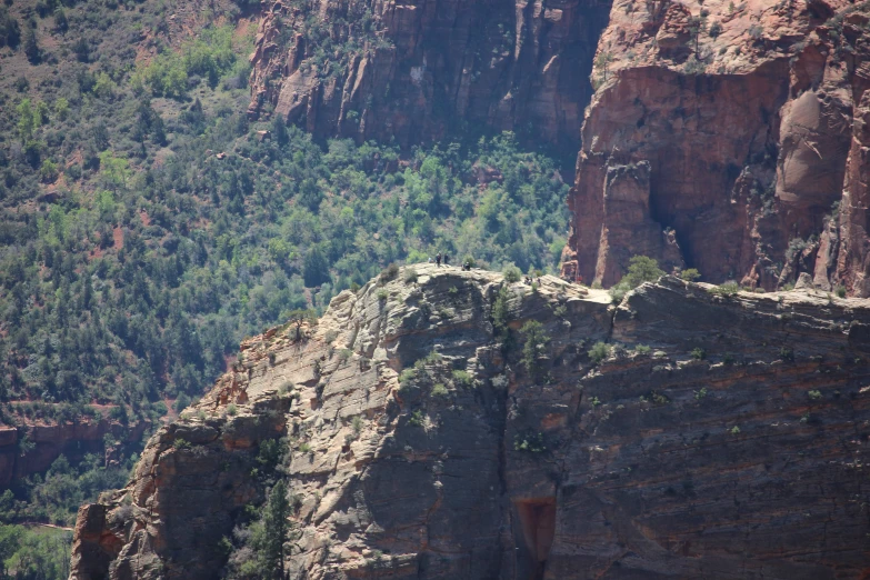 a scenic landscape with many trees and rocks