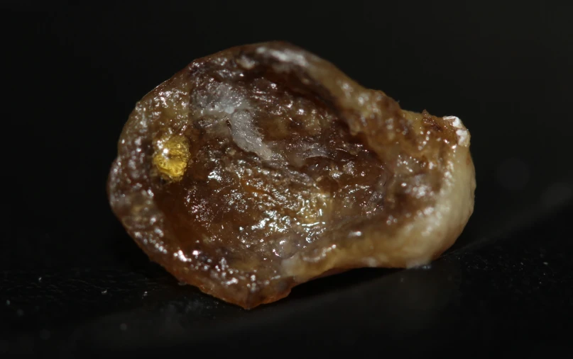 a close up of some kind of type of pastry on a table