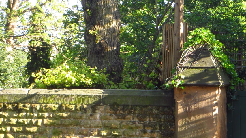 the fence is near the tree and the brick wall