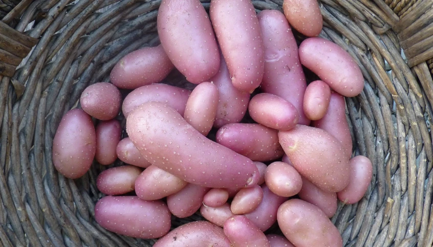 there are many pink potatoes in the basket
