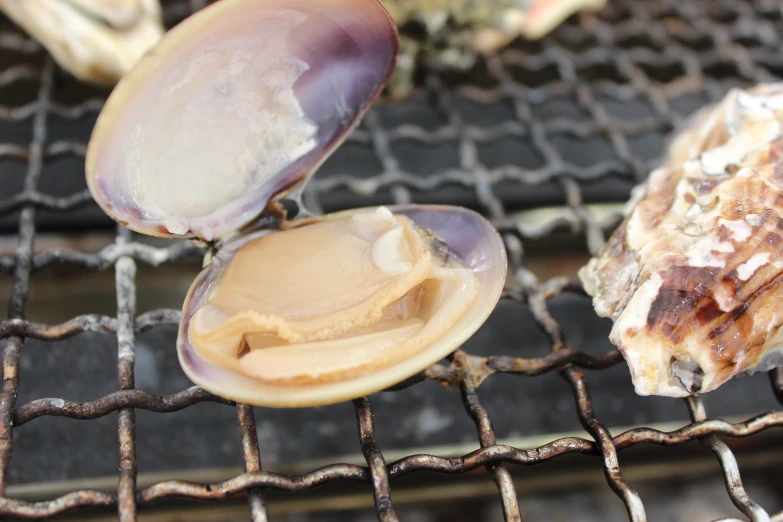 some food is being prepared on a grill