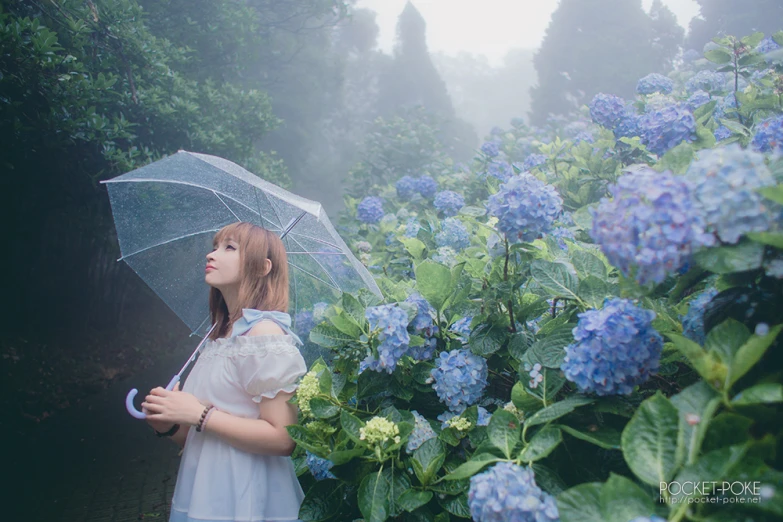 a  standing under an umbrella in the forest