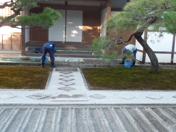 men putting grass in an empty garden area