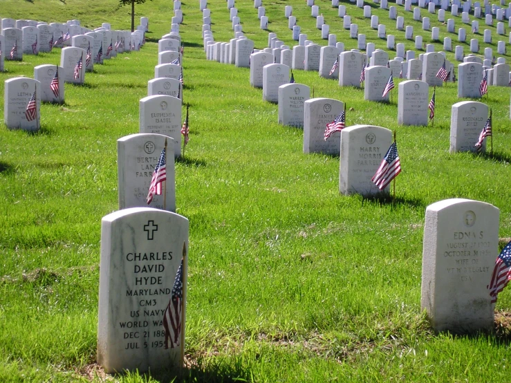 many graves with american flags in them sitting on the grass