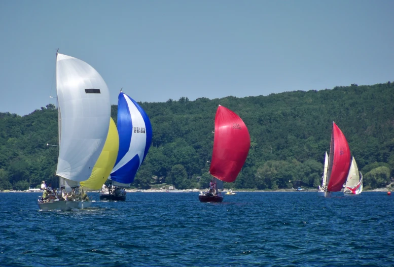 a group of sail boats sailing on top of the water