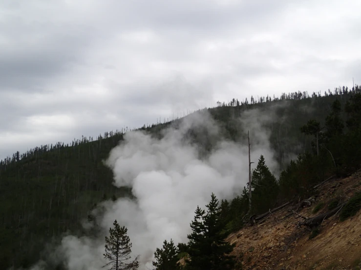 a steam train traveling up the side of a green hillside