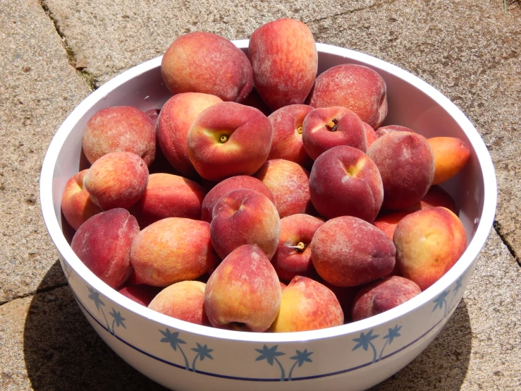 a bowl filled with lots of ripe peaches