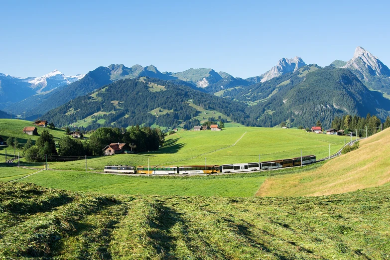 a field full of green grass with mountains in the background