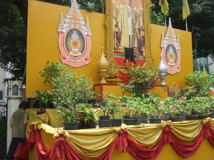 a row of plants under a large gold framed picture