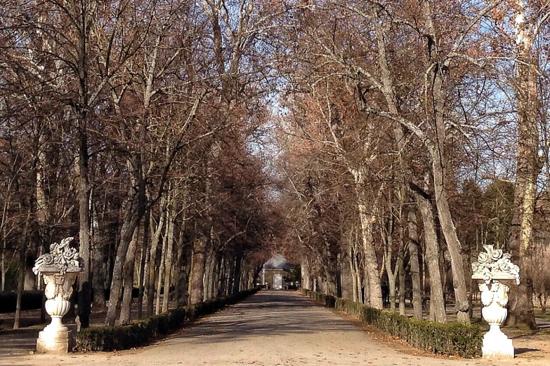 a large long road that has trees along both sides