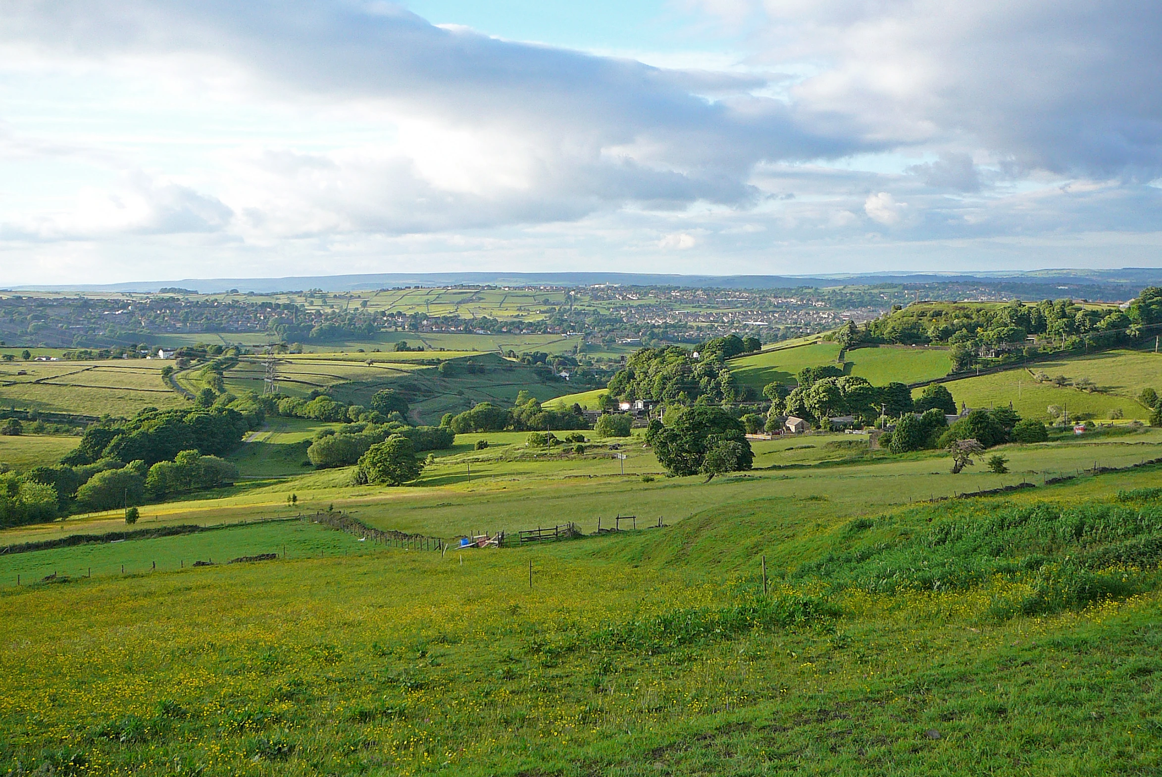 a green hillside covered in trees next to a lush green valley