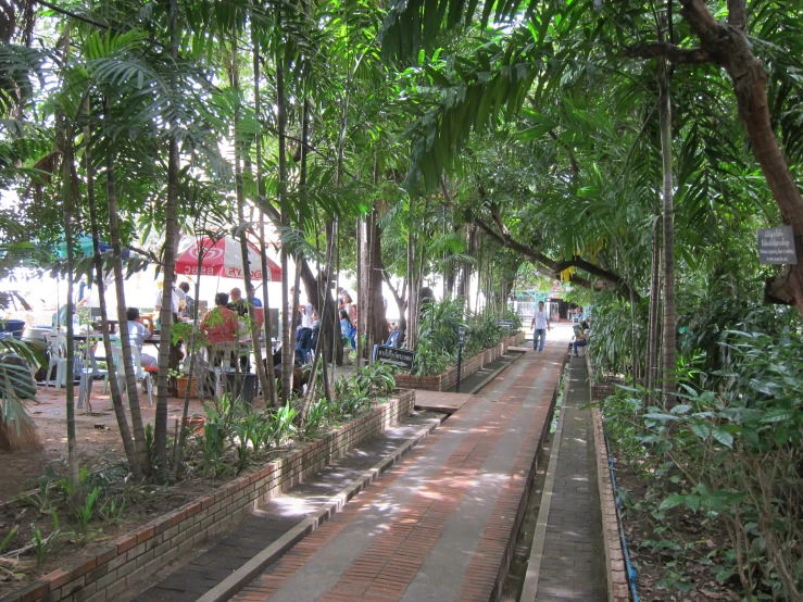some people and trees on a long brick path