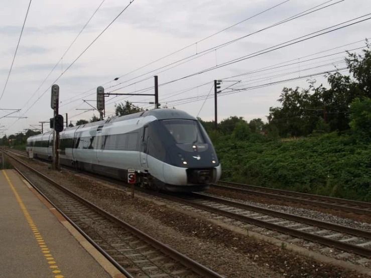 silver train on tracks at a station under power lines