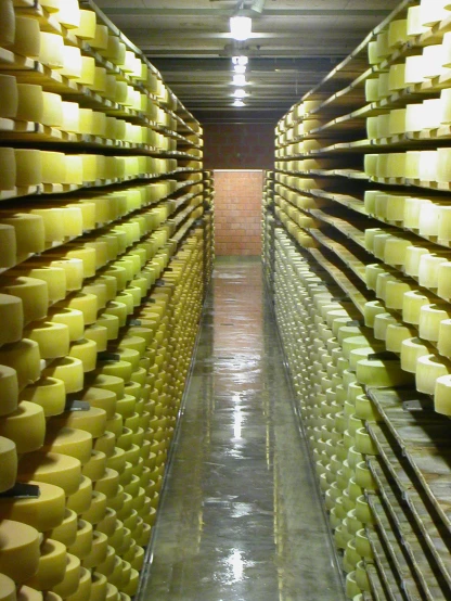 an aisle that has several rows of cheese in it