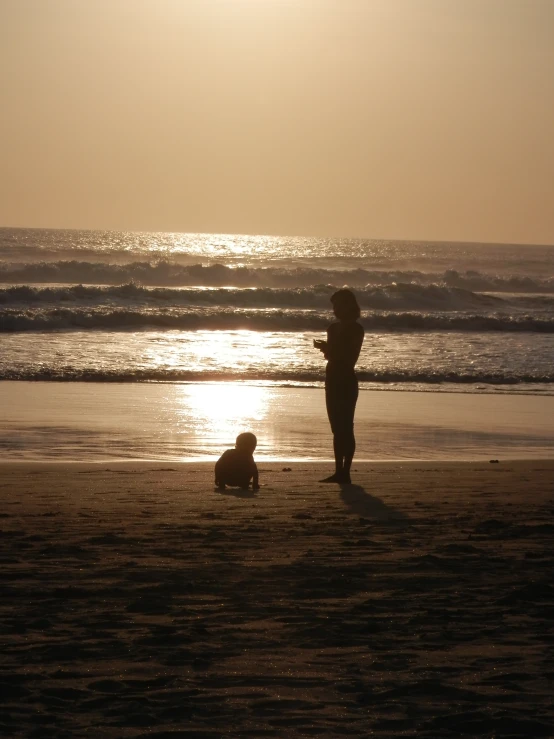 a man and a dog at the beach in the sunset