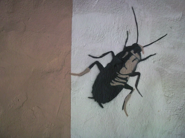 a painted black and white beetle on the wall