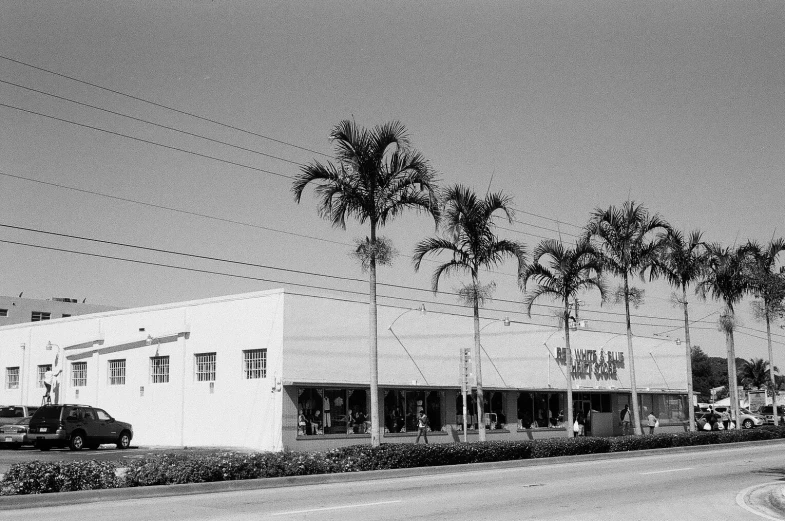 old style store with palm trees on the street