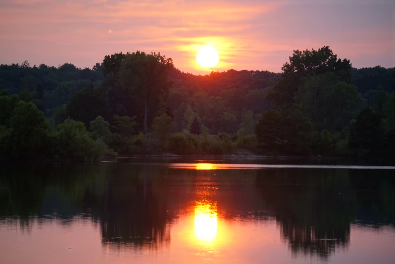 a bright sun setting behind a forest with trees in the background