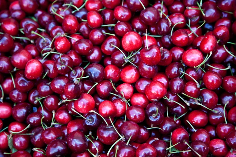 some berries are laying together on the ground