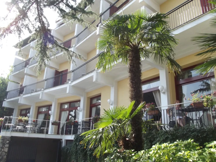 the balcony and balconies on the building are overlooking trees