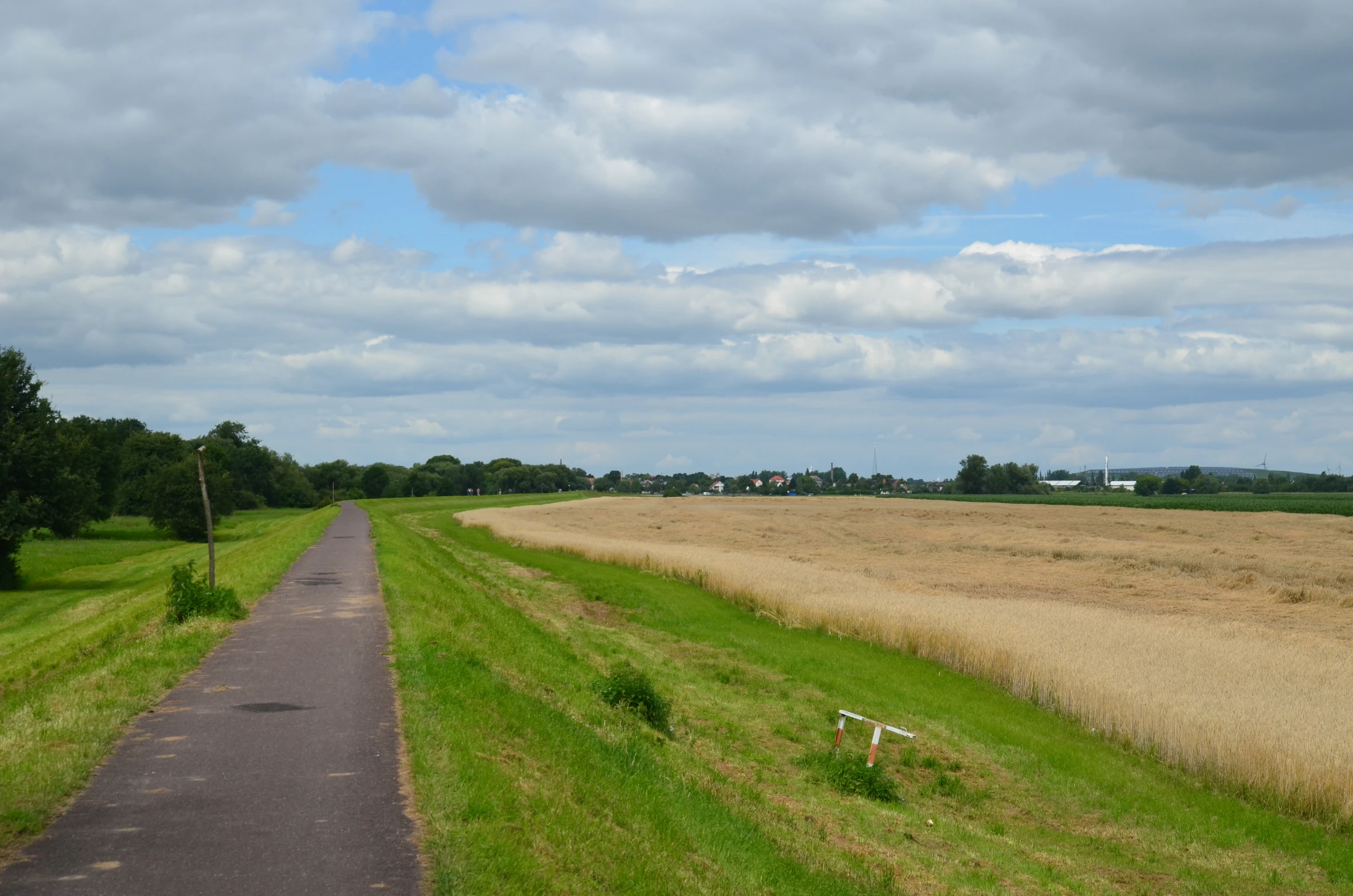 the country road is going down the grassy field