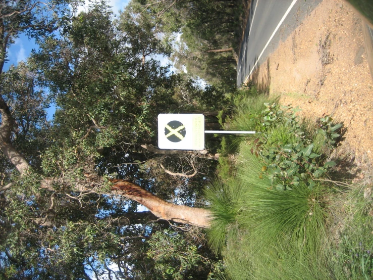 a white sign on the side of a dirt road next to a forest