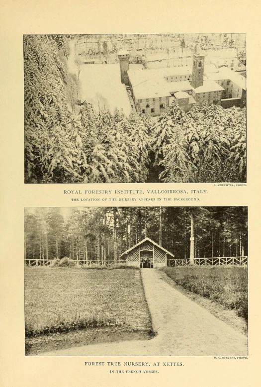 two pictures of the same landscape, a forest and buildings