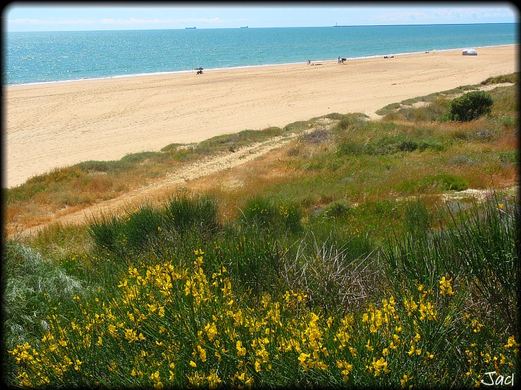 several people on a beach near the ocean