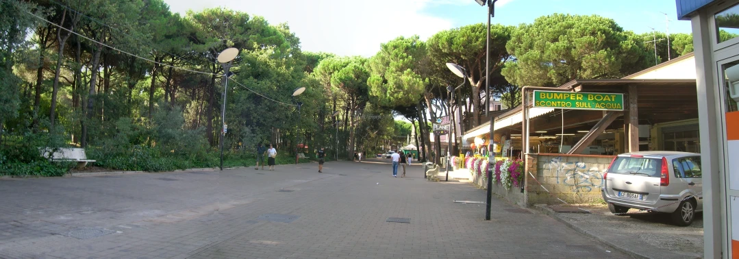 a small road lined with tall trees with people walking by