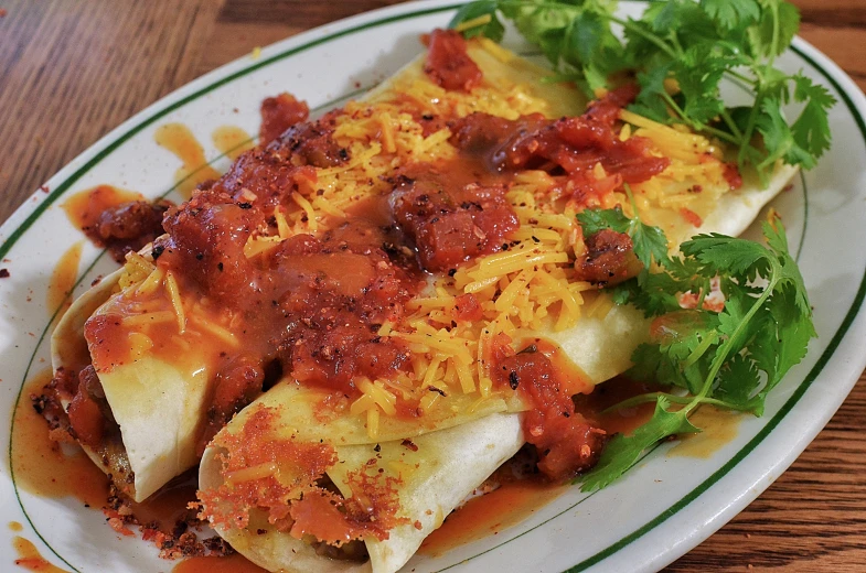 some kind of enchilada dish with lots of sauce on it