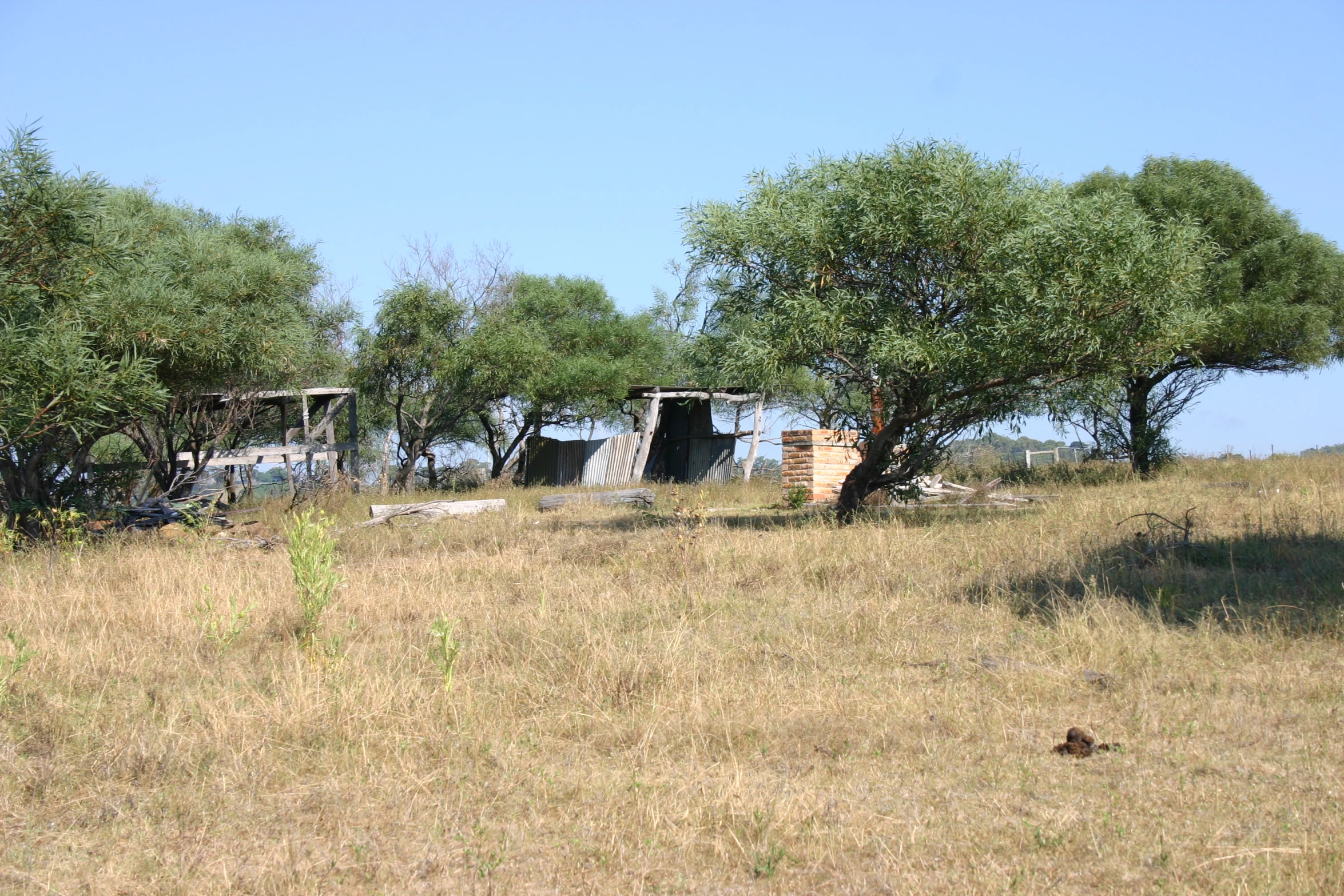 two empty structures sit in the grass by some trees